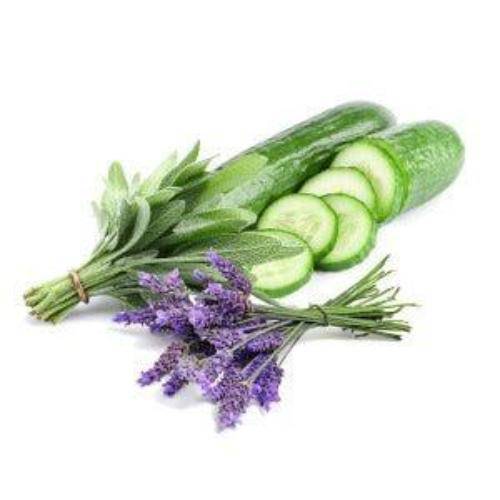 Lavender Cucumber Sage Fragrance Oil - The Fragrance Room