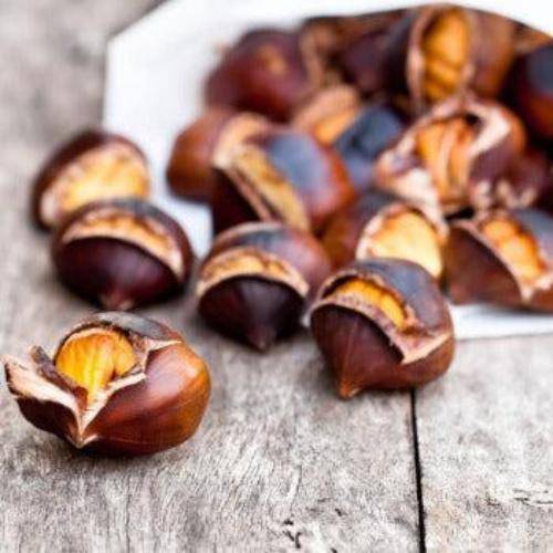 Chestnuts Fragrance Oil