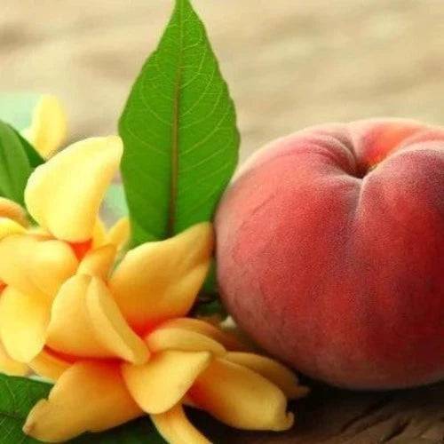 Peach Ylang Natural Fragrance Oil - The Fragrance Room