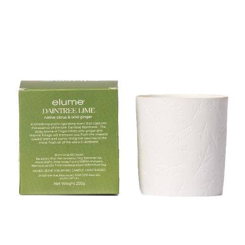 Daintree Lime Soy Candle