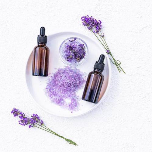 Black Amber & Lavender Fragrance Oil