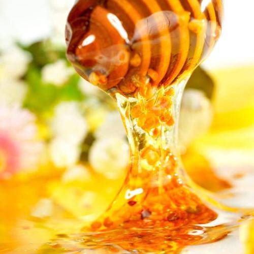 Honey Fragrance Oil - The Fragrance Room