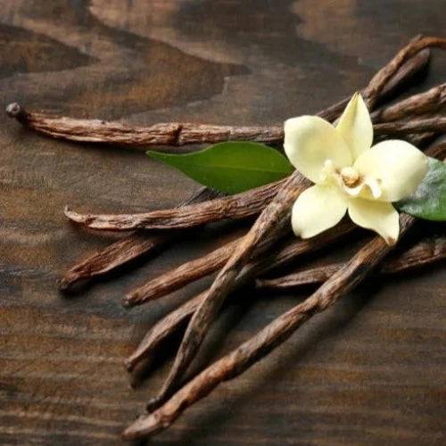 Vanilla Oak Fragrance Oil - The Fragrance Room