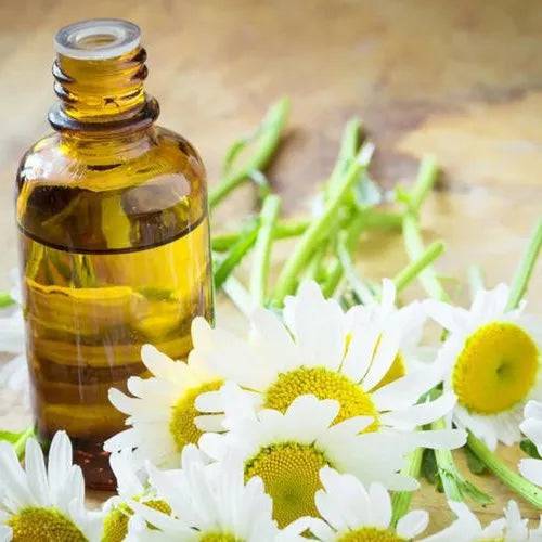 Chamomile & Bergamot Fragrance Oil - The Fragrance Room