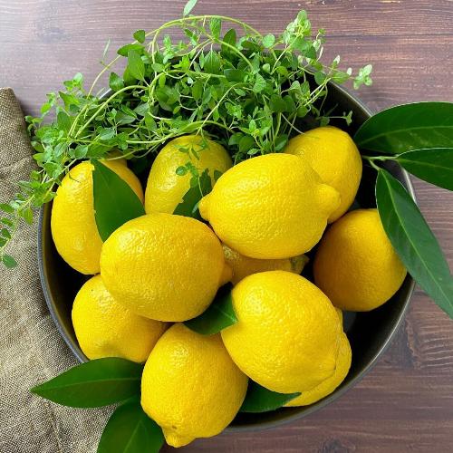 Fresh Lemon Squeeze Fragrance Oil - The Fragrance Room