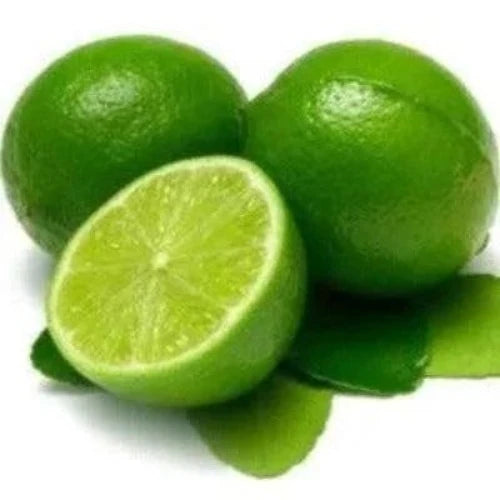 Fresh Lime Fragrance Oil | The Fragrance Room