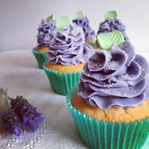 Lavender & Blueberry Cupcake Fragrance Oil - The Fragrance Room