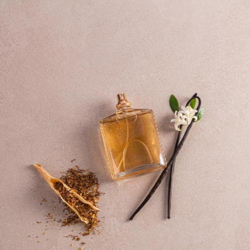 Cinnamon Vanilla Fragrance Oil - The Fragrance Room