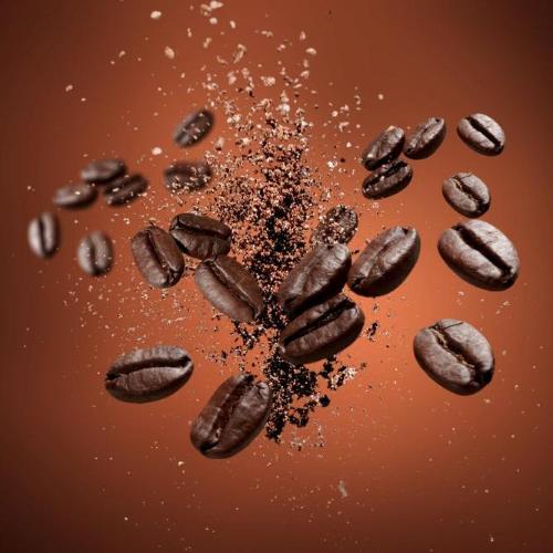 Roasted Coffee Beans Fragrance Oil