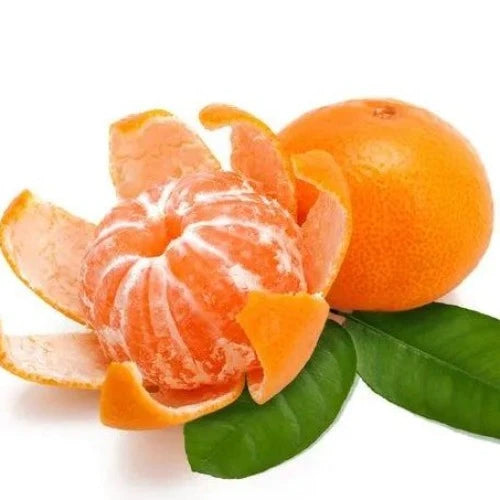 Tropical Tangerine Fragrance Oil - The Fragrance Room