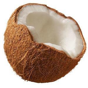 Coconut Fragrance Oil - The Fragrance Room